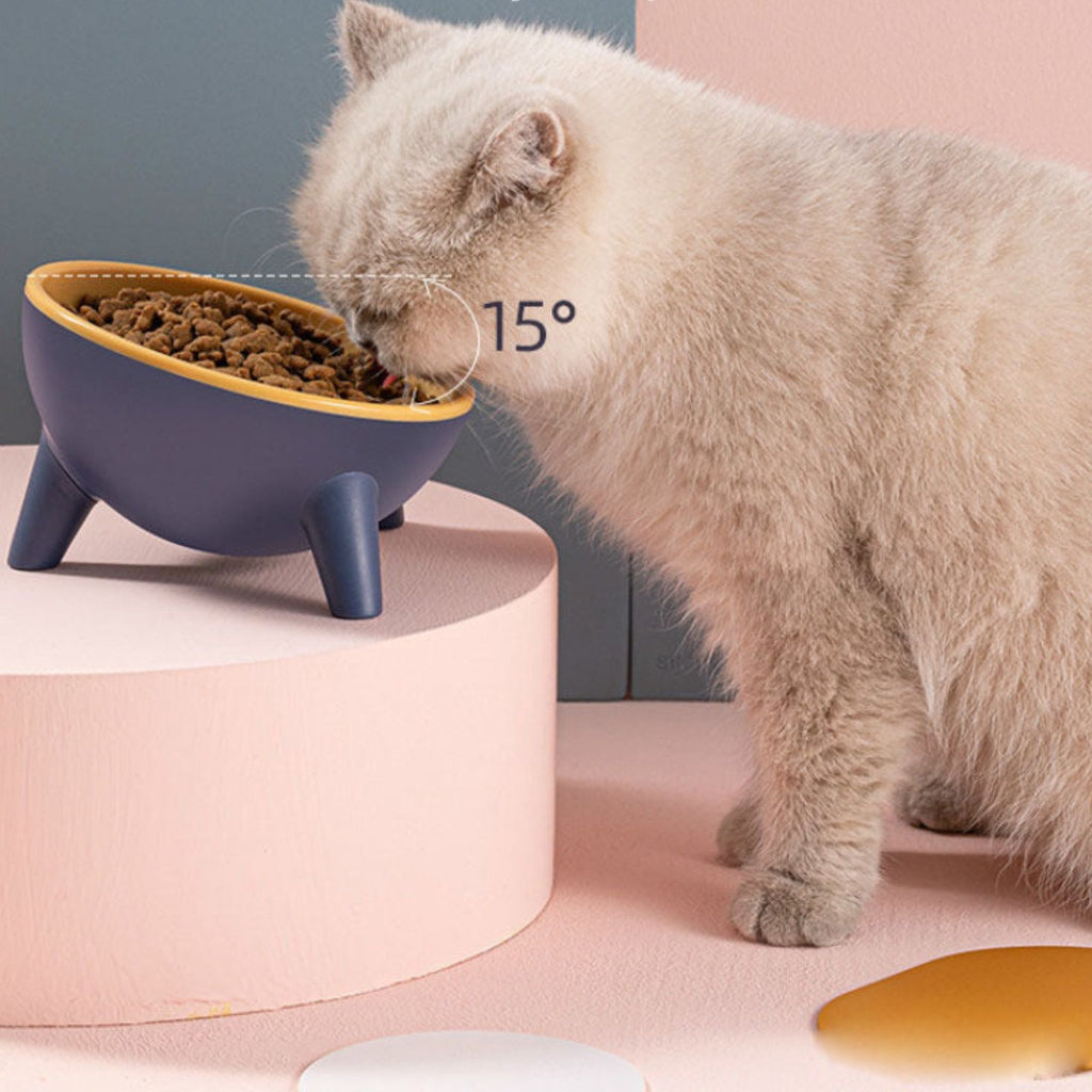 Tilted Pet Food Bowl
